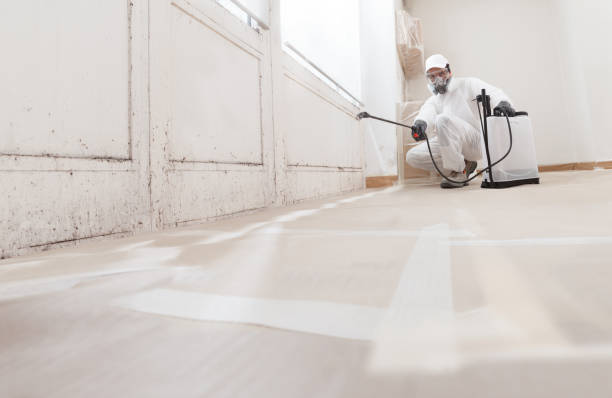 24/7 Emergency Mold Remediation experts in Green Cove Springs, FL