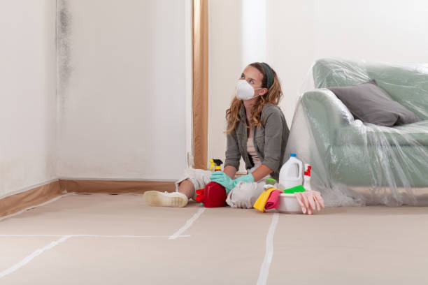 Reliable Mold Remediation contractor in Green Cove Springs, FL by WQB Mold Removal